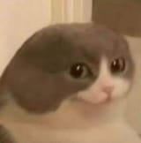 hi_0