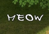 Screenshot_6