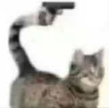 GkpwqtXWkAE1_Or