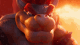 bowser-i-do-not-bowser
