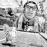 rooster fighter