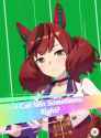 NiceRacer_thumb.jpg