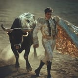 bullfighting-dynamic-action-stockcake
