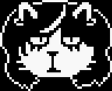 catti face