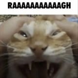 rarrrgh