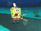 spongebob point