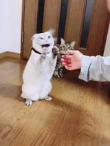 aaaaaaaaaaaaa