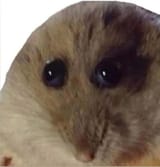 1710272024481999