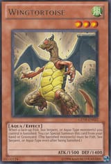 Wingtortoise-GENF-EN-R-UE