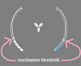 react