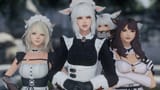 _ffxiv_dx11 2025-06-12 18-40-54 Nightingale_Night 552