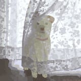 GVKb7NeaEAAWUy_
