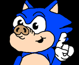 sonic pig