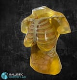 ballistic female dummy