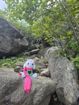 ralsei rocks