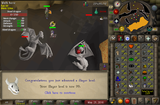 Slayer Level (99)
