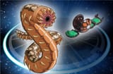 BK_CD_Wormquake