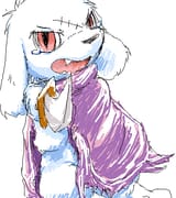 cool king
