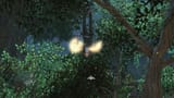 2025-07-05 23-41-16 ffxiv_dx11