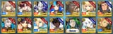 fgo_destiny_order_archer