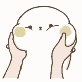 seal-cute