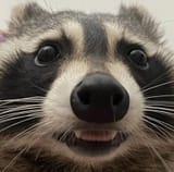 1744146623866565
