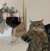 cat wine serious