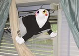 tumblr_b3d8960f5de658ca13ffeba9e7b0e4b4_e019ac71_1280