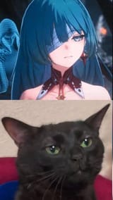 mfw someone starts yapping