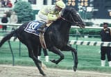 SundaySilence89_1300_070329