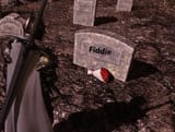 rip fiddie