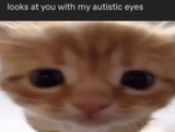 1740199551233816