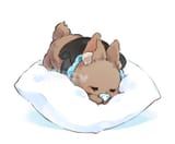 Bnuy sleepytime @tsukihana_l