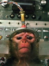 neuralink monkey 3
