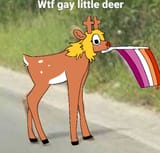 gjgs