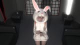 rabbit