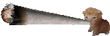 160943859475