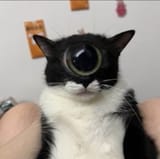 1744155792824649