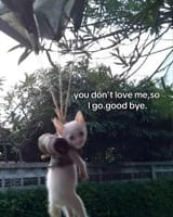 ty