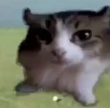 Screenshot_20240712_120028_Google