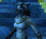 WoWScrnShot_011125_235250