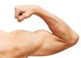 biceps