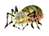 80_oogumo_st01