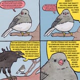 kms0qkpkrdkc1
