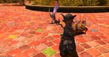 ffxiv_07022024_160534_041