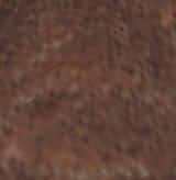 Screenshot_20250706_211049