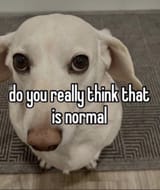 1736863302288007