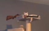 4507