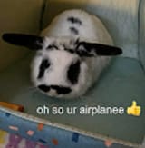 1749797865678641