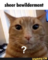 6e98bcbbe7bbbbd0485730f66d6d8e89b98bcb11edf2d9e96ebf8e8aba9d3645_1